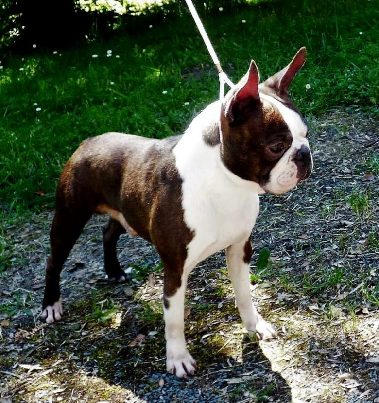 t-bo's Love on the rocks