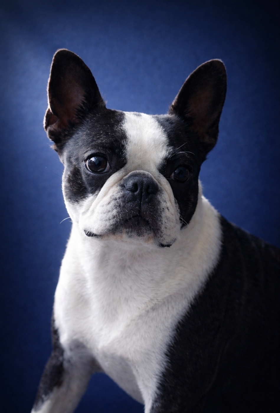 Gentleman Attitude Vegas